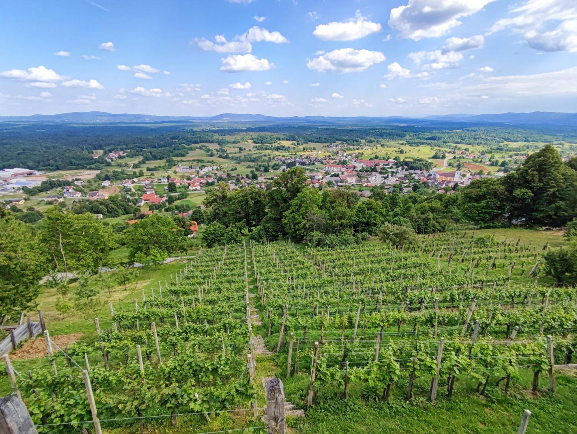 Zidanica-Vineyard Cottage Jakse Semic Exterior foto